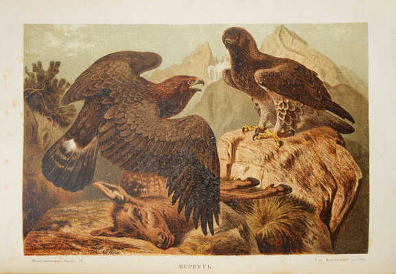 Брем А. Э. Жизнь животных Брэма. Сокращенное издание для школы и домашнего чтения. [В 3 т.]. Т. 1-2. СПб., 1909.